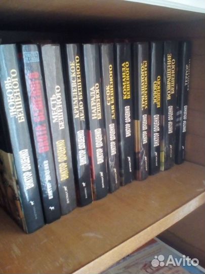 Виктор Доценко. 14 книг про Бешеного