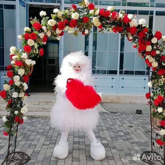 Фаер-шоу. Живые статуи,ходулисты.Картина светом