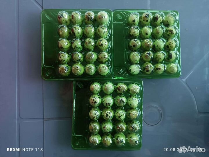 Яйцо перепелинное