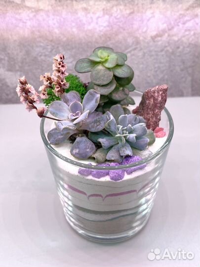 Флорариум с суккулентами