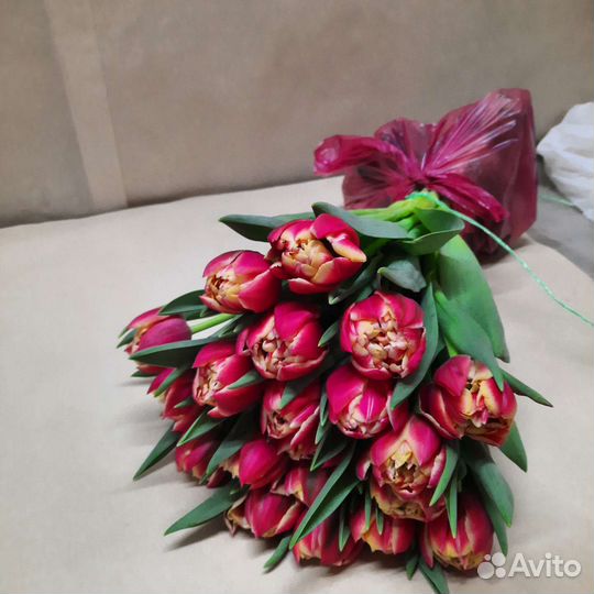 Пионовидные тюльпаны