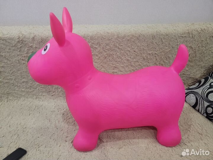 Ослик прыгун