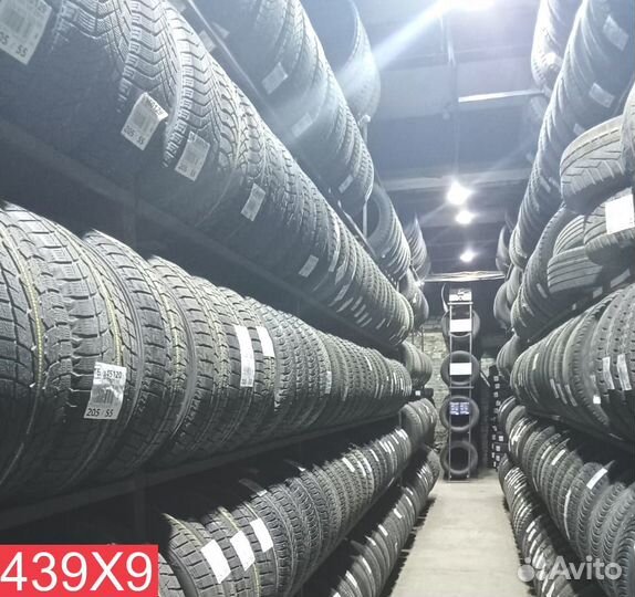 Dunlop Winter Maxx WM01 205/55 R16 90R