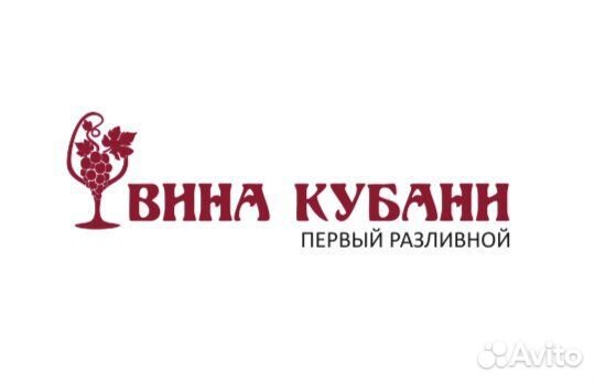 Вино разливное франшиза