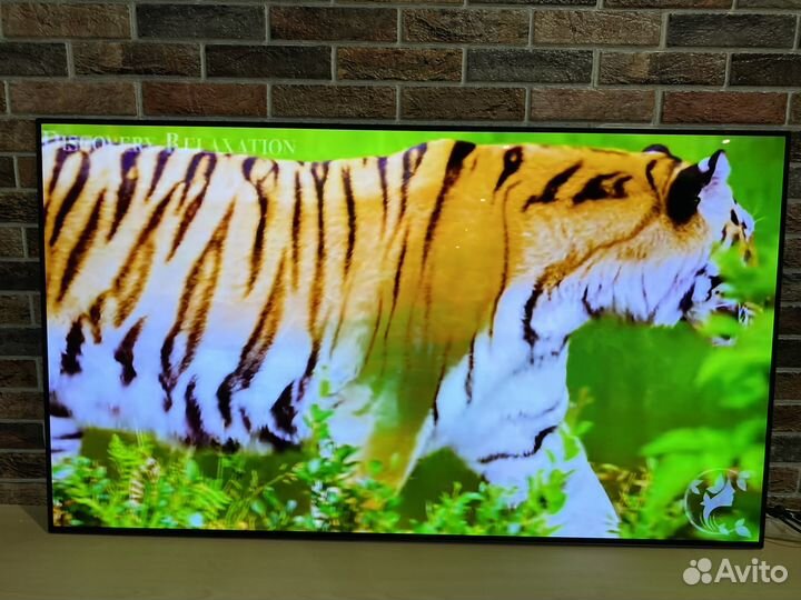 Телевизор LG oled55C14LB