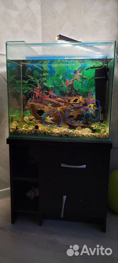 Аквариум