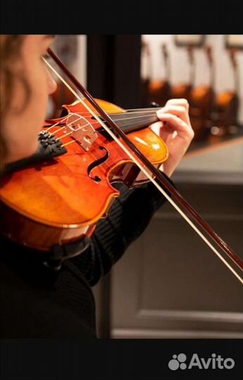 Репетитор по скрипке, сольфеджио