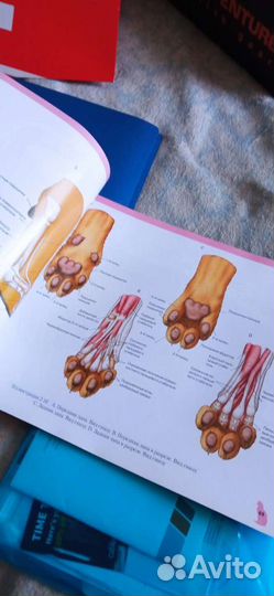 Книги по ветеринарии