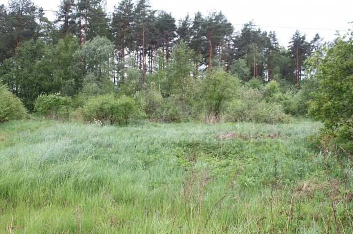 Участок 20 сот. (СНТ, ДНП)