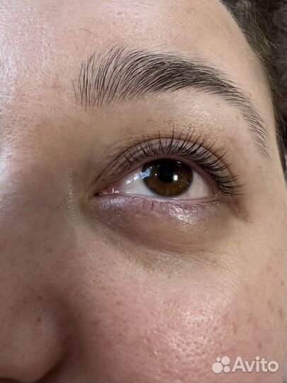 Ламимейкер, Бровист