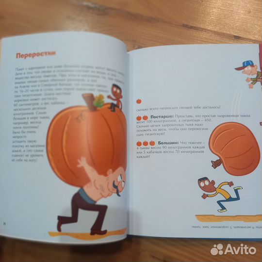 Математика перед сном Карьера пресс