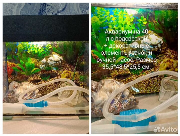 Аквариумы для рыбок