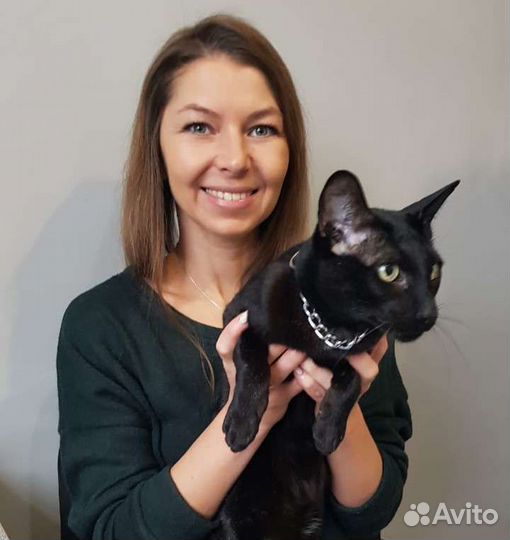 Котоняня, зооняня, кэтситтер (выезд на дом)