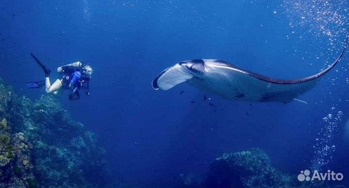 Таиланд 9 ночей отдых в от. 3-4* завтрак