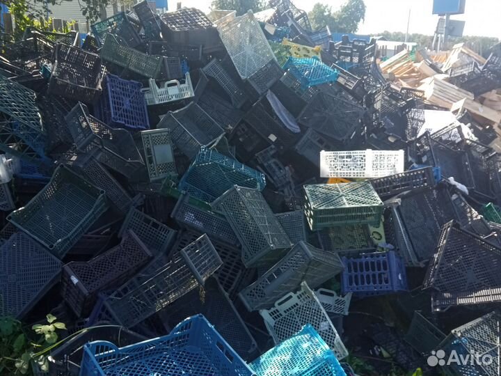 Пластиковые ящики бу от фруктов