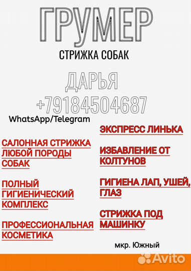 Грумер для собак