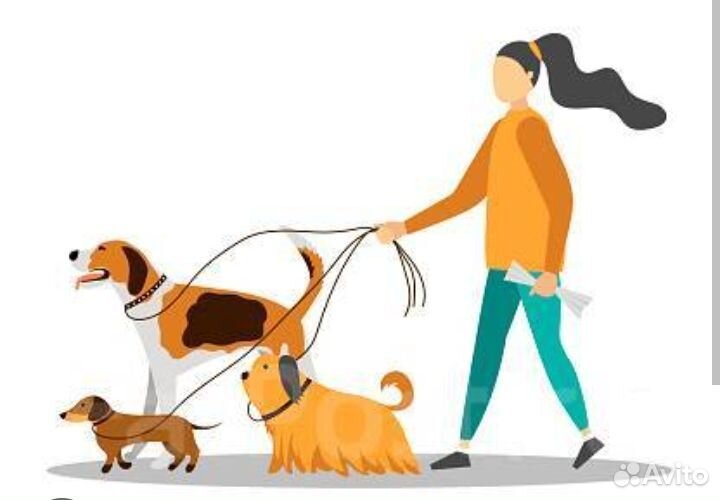 Работа выгул собак