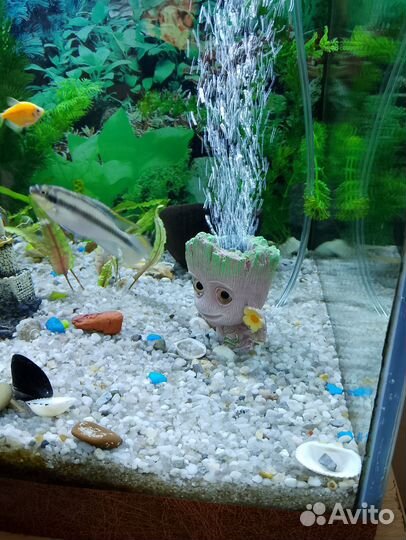 Песок для аквариума