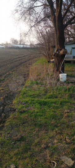 Участок 40 сот. (ИЖС)