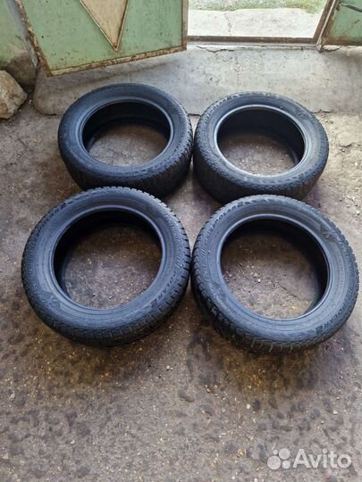 Cordiant Polar 2 205/55 R16