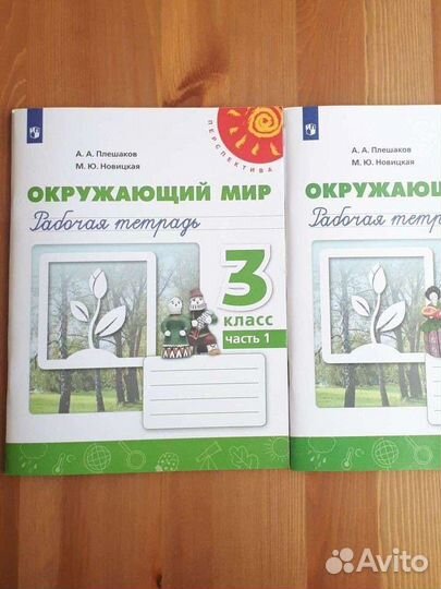Рабочие тетради Окружающий мир 3 класс Плешаков ч1