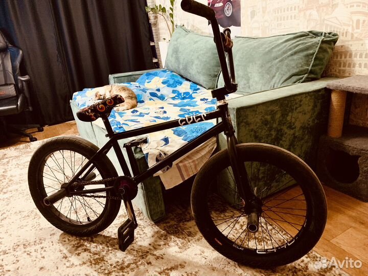 BMX (Cult & Eclate custom)