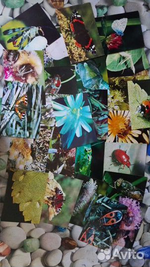 Почтовые открытки