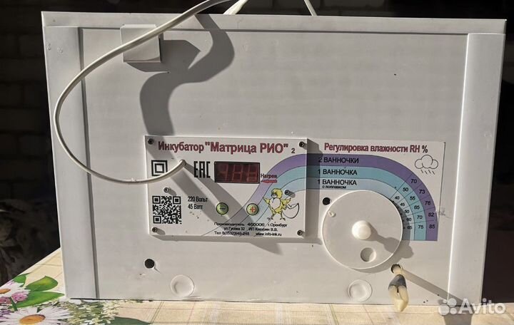 Инкубатор для яиц