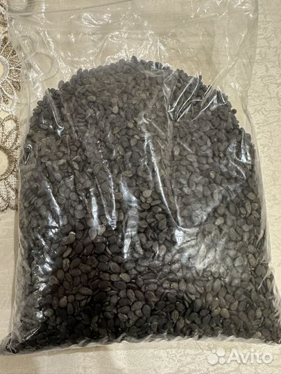 Семена арбуза каристан