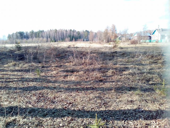 Участок 13 сот. (ИЖС)