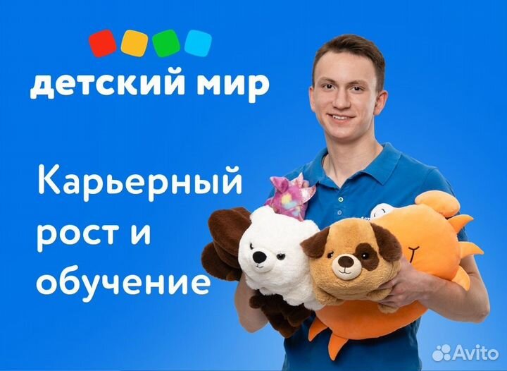 Заместитель директора магазина (ТЦ Алфавит)