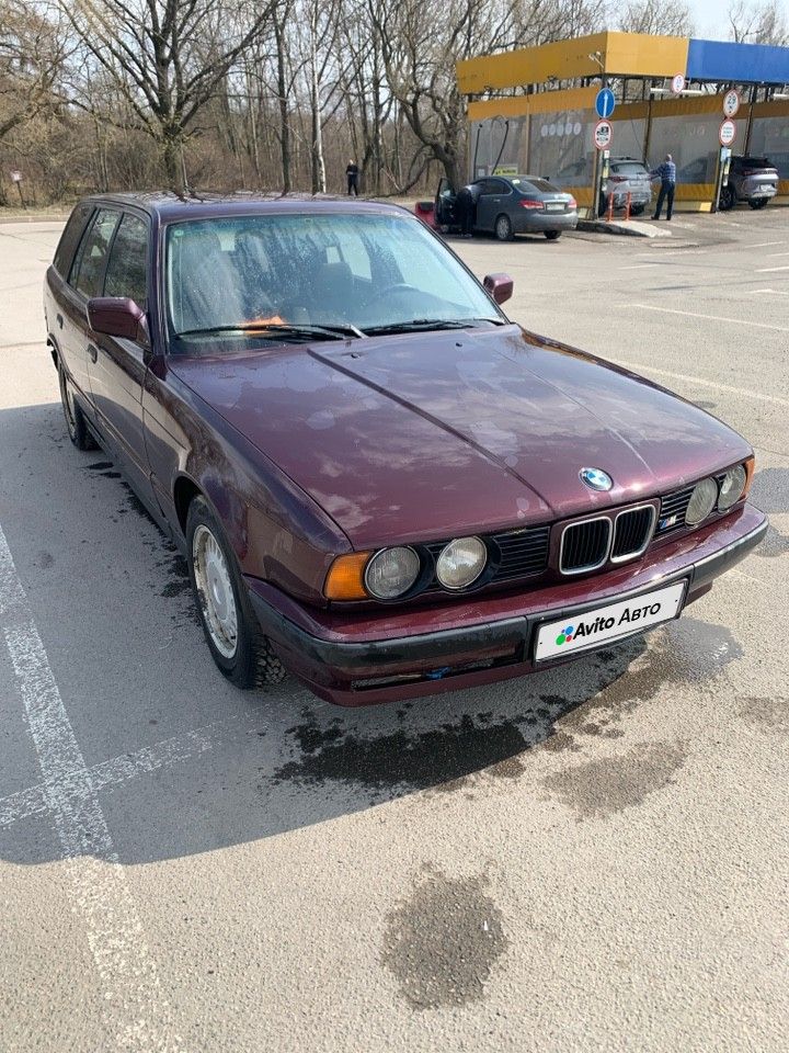 BMW 5 серия: фото владельца