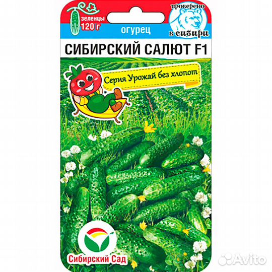 Огурец Сибирский салют