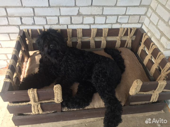 Кобель для вязки рчт
