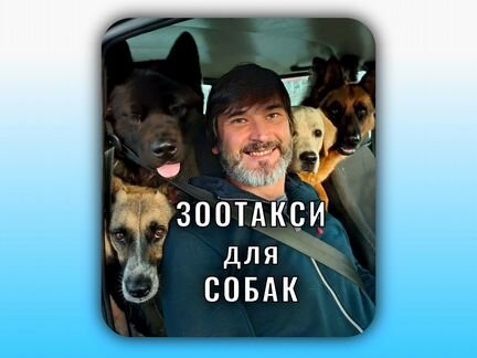 Зоотакси/ Перевозка собак по России/ Гарантия