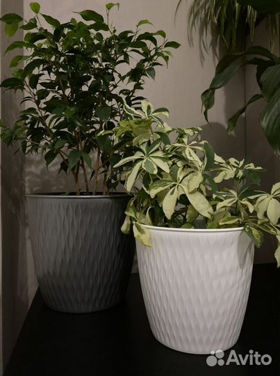 Кашпо для цветов