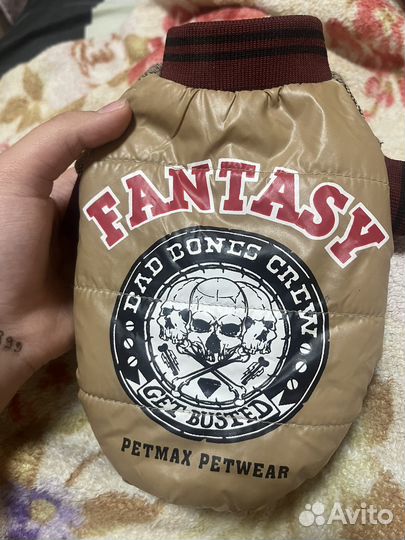 Одежда для собак