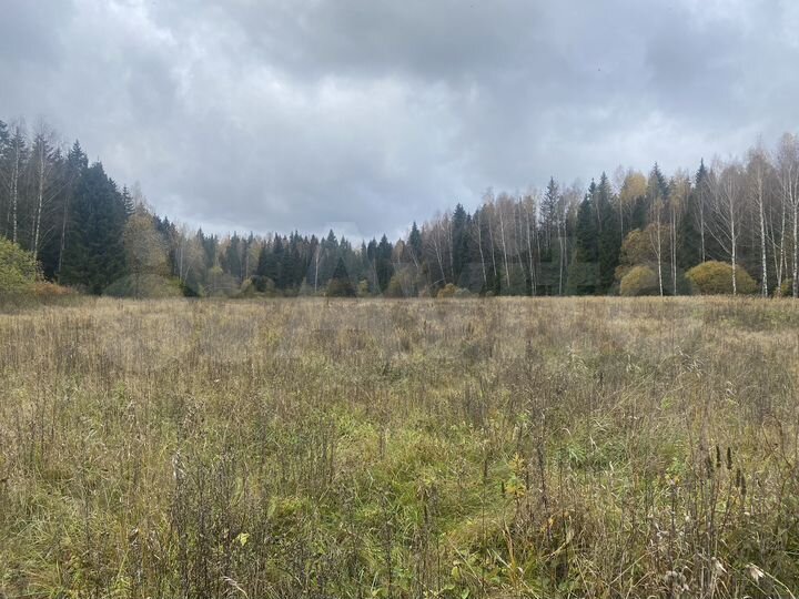 Участок 73 га (СНТ, ДНП)