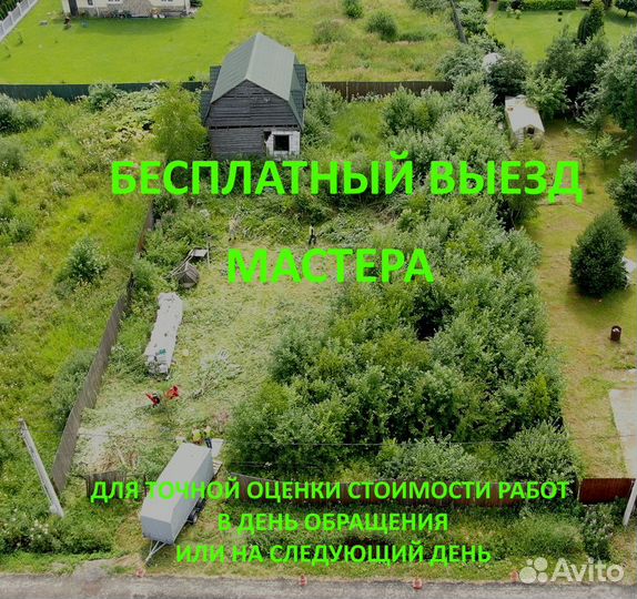 Расчистка участка. Спил деревьев
