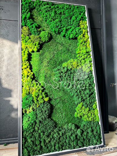 Панно из мха с подсветкой со стеклом
