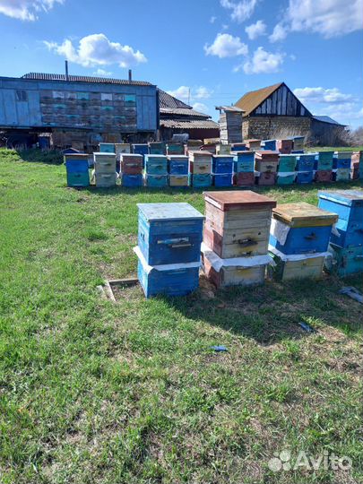 Улья, пчелоинвентарь