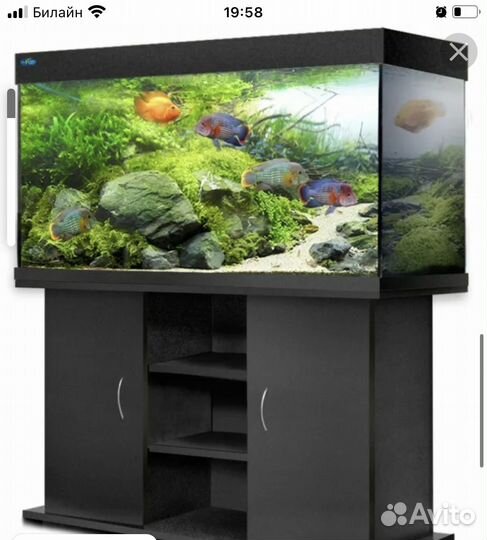 Аквариум