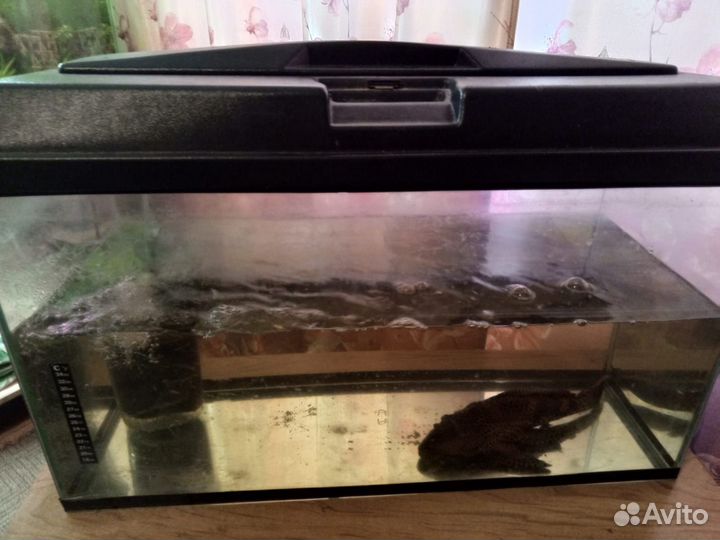 Аквариум 75л с крышкой