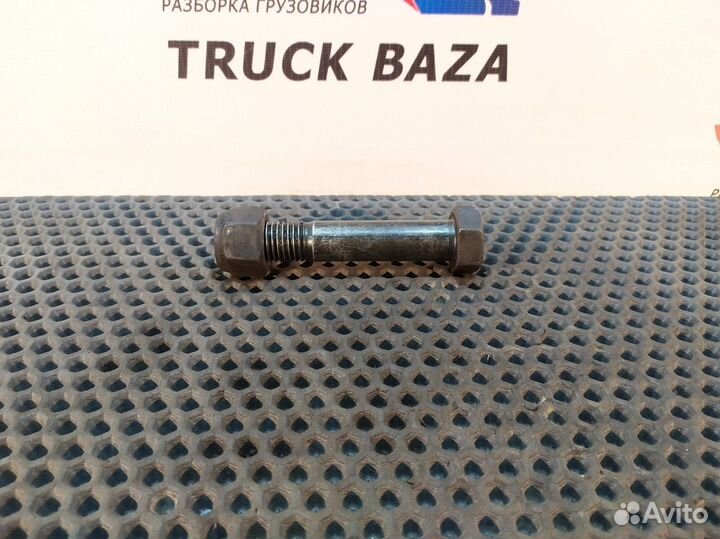 1381746 Болт амортизатора заднего