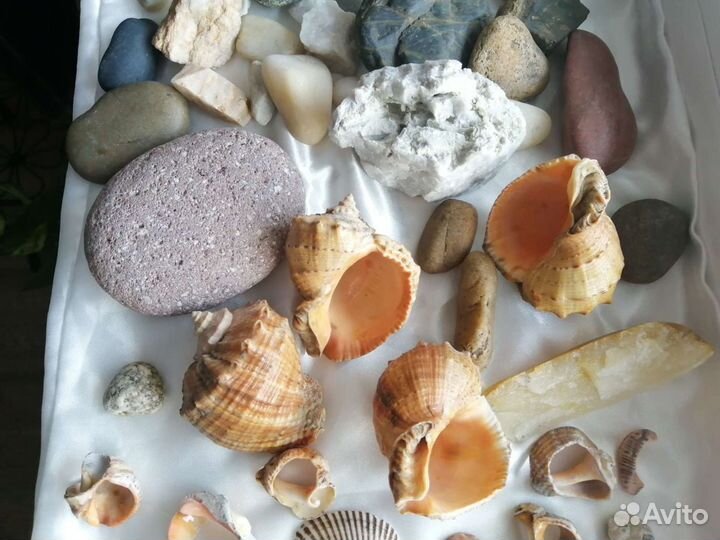 Ракушки, камушки
