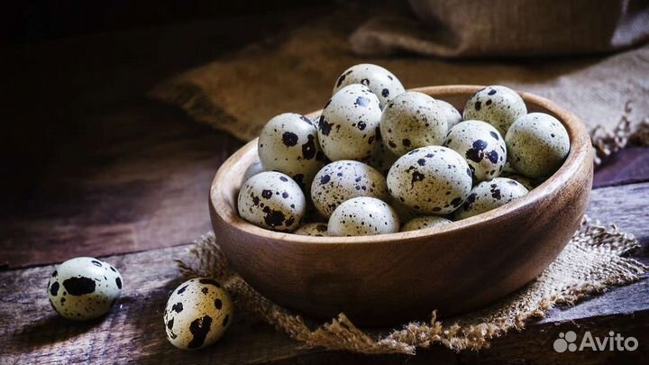Яйца перепелиные