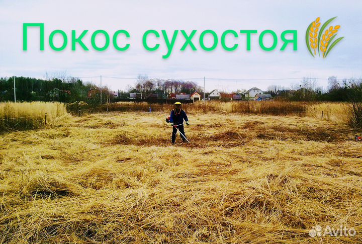 Покос травы спил деревьев расчистка участка