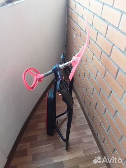 Аргомак детский