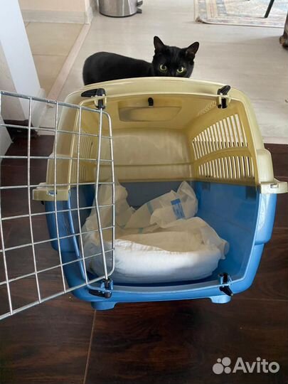 Переноска для кошек
