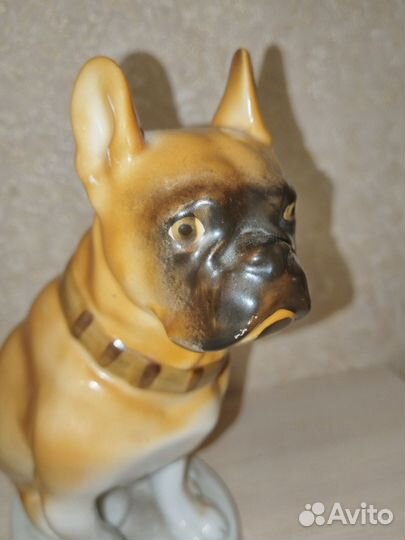 Статуэтка фарфоровая бульдог/боксер лфз